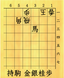 詰将棋パラダイス
